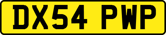 DX54PWP