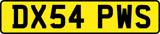 DX54PWS