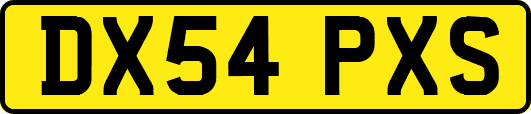 DX54PXS