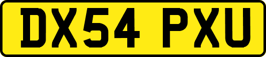 DX54PXU