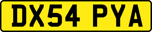 DX54PYA