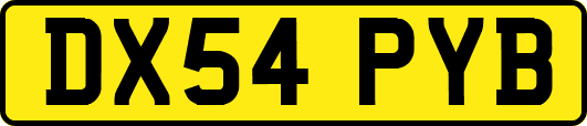DX54PYB