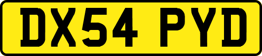DX54PYD