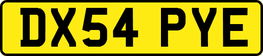 DX54PYE