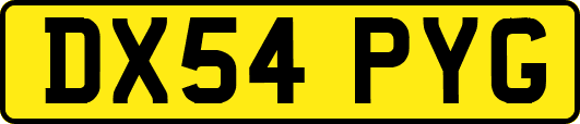 DX54PYG