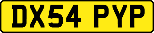 DX54PYP