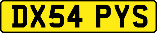 DX54PYS