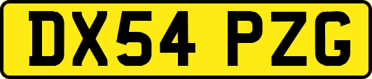 DX54PZG