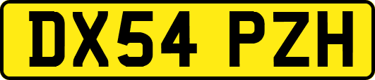 DX54PZH