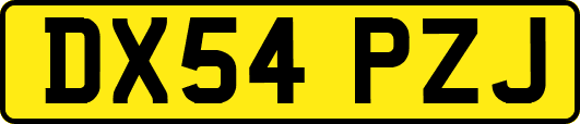 DX54PZJ