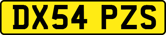 DX54PZS