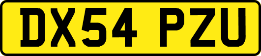 DX54PZU