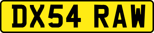 DX54RAW