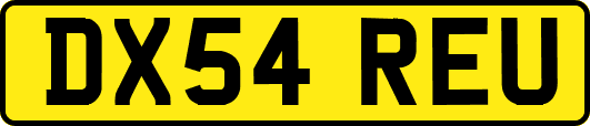 DX54REU
