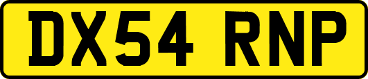 DX54RNP