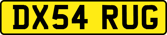 DX54RUG