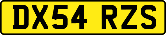 DX54RZS