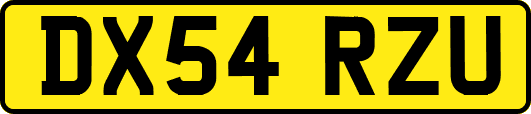 DX54RZU