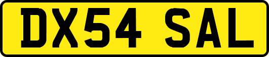 DX54SAL