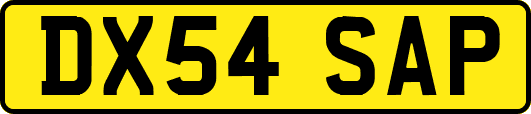 DX54SAP