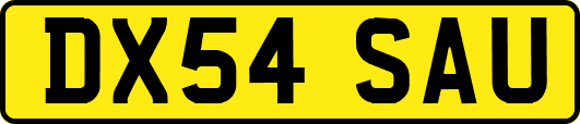 DX54SAU