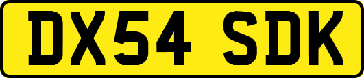 DX54SDK