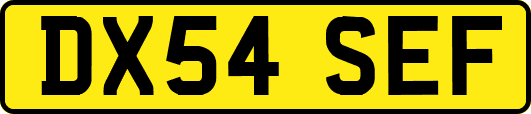 DX54SEF