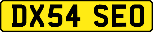 DX54SEO