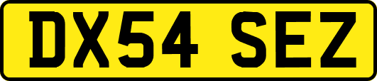 DX54SEZ