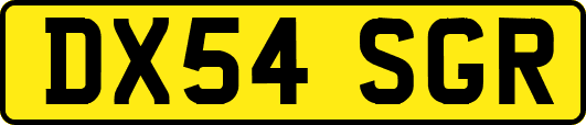 DX54SGR