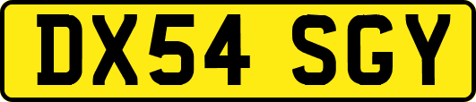 DX54SGY
