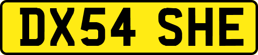 DX54SHE