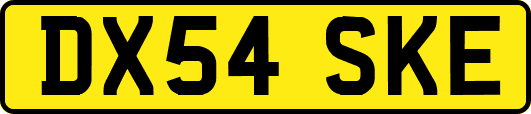 DX54SKE