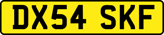 DX54SKF