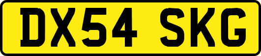 DX54SKG