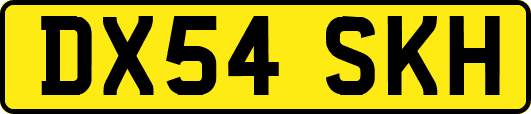 DX54SKH