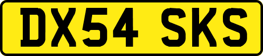 DX54SKS