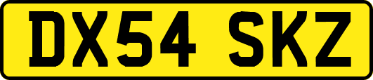 DX54SKZ