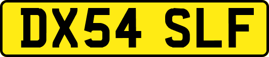 DX54SLF