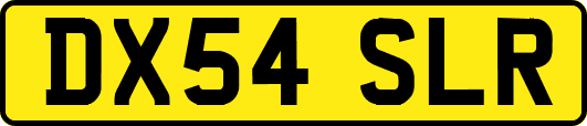 DX54SLR
