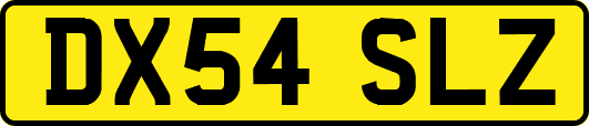 DX54SLZ