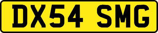 DX54SMG