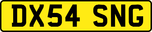 DX54SNG