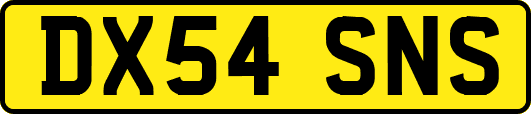 DX54SNS