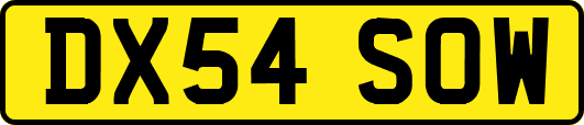 DX54SOW