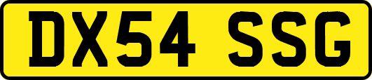 DX54SSG