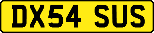 DX54SUS