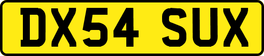DX54SUX