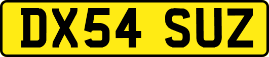 DX54SUZ