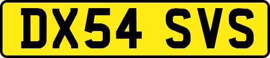 DX54SVS
